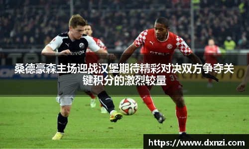桑德豪森主场迎战汉堡期待精彩对决双方争夺关键积分的激烈较量